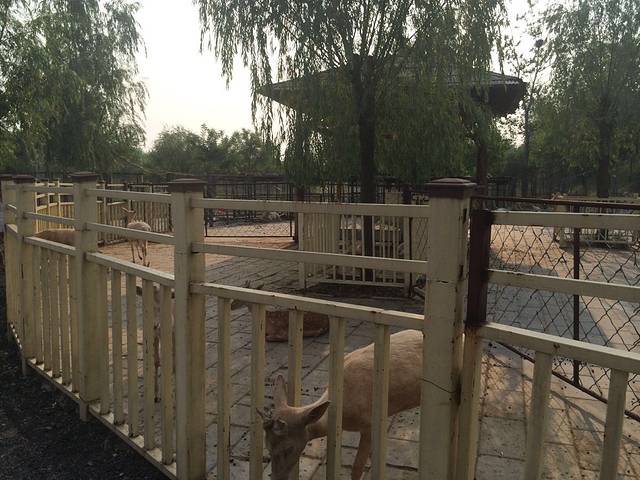 北京鹿世界主题园