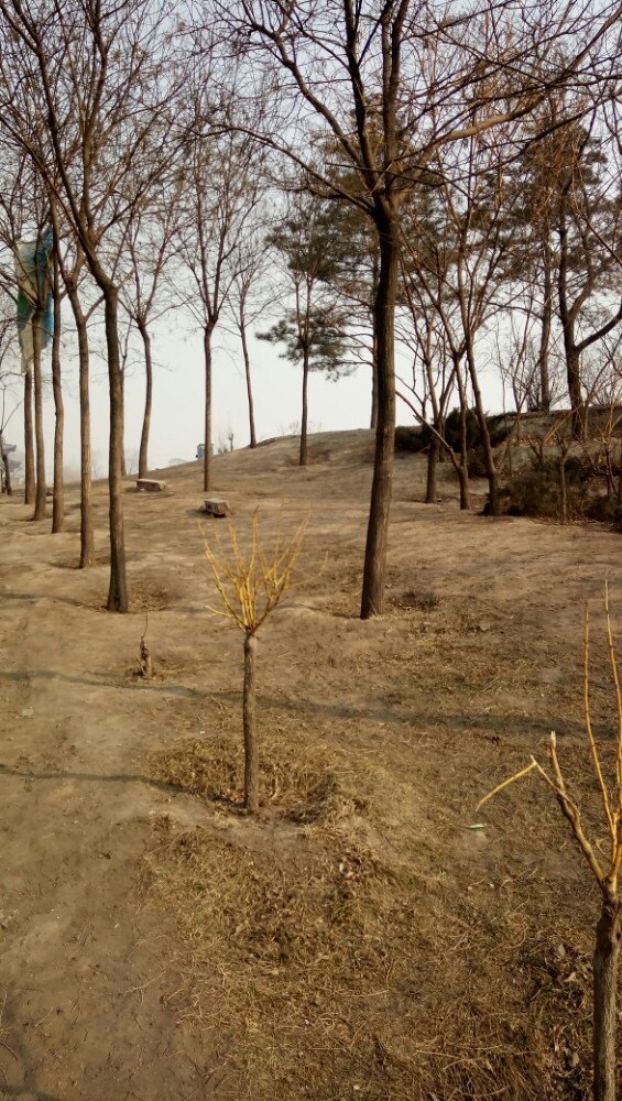安阳林州太行山国际滑雪场