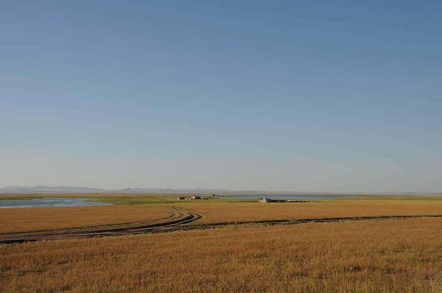 驾机飞越陈巴尔虎旗草原