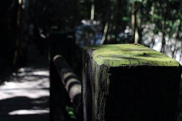 蓬莱溪护鱼步道