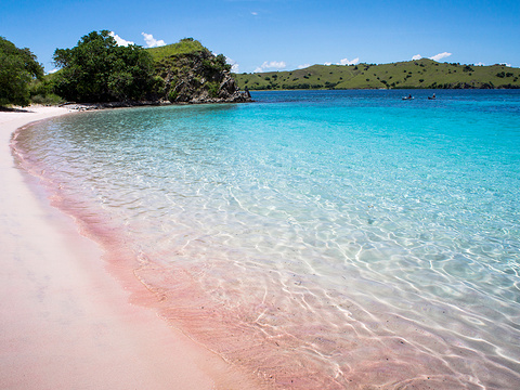 科莫多国家公园komodo national park 龙目岛景点排名第4