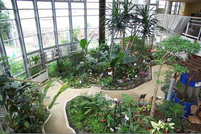 涩谷区互动植物园