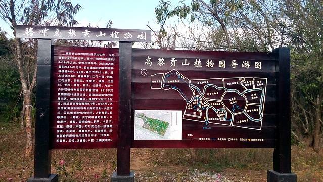 高黎贡山植物园