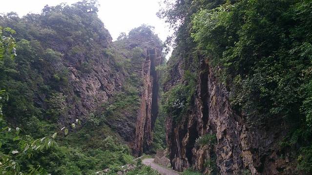 宽阔水原始森林公园