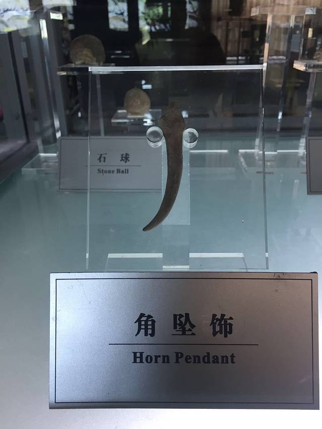 田螺山遗址现场馆