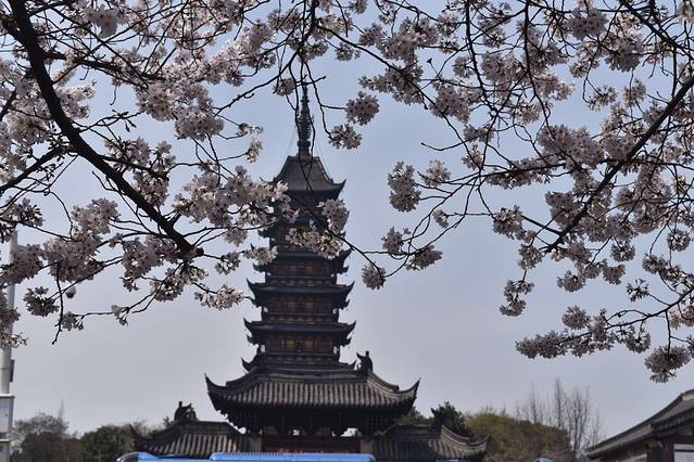 方塔园-崇教兴福寺塔