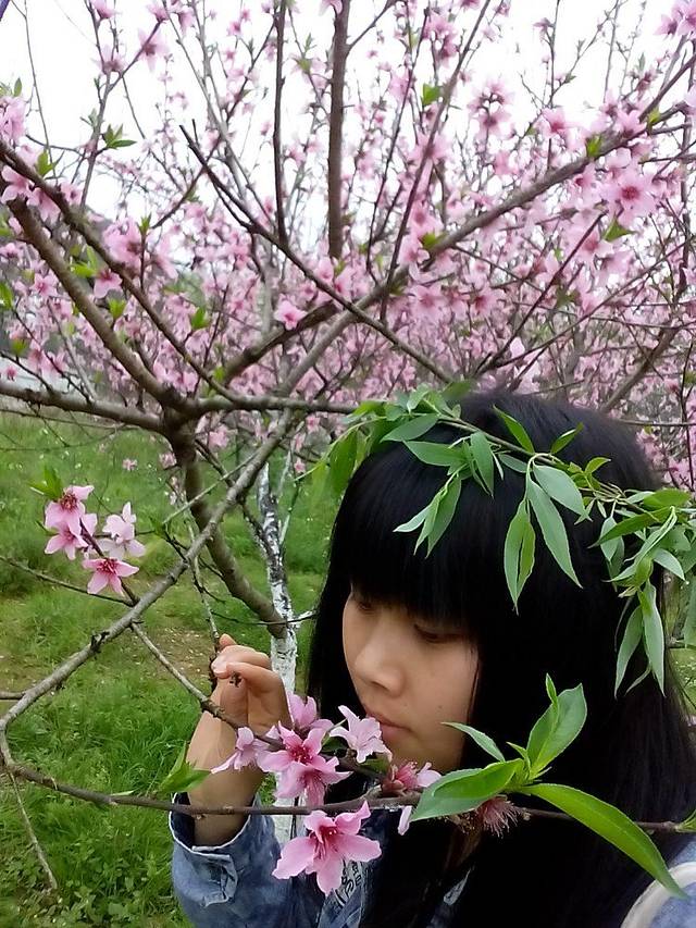 蜜月岛景区-桃花岛