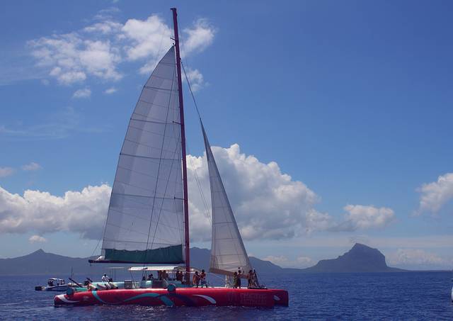 海豚湾帆船游艇