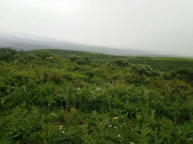 巴尔鲁克旅游风景区