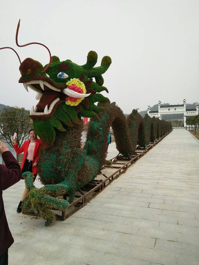 麻城市黄土岗菊花园