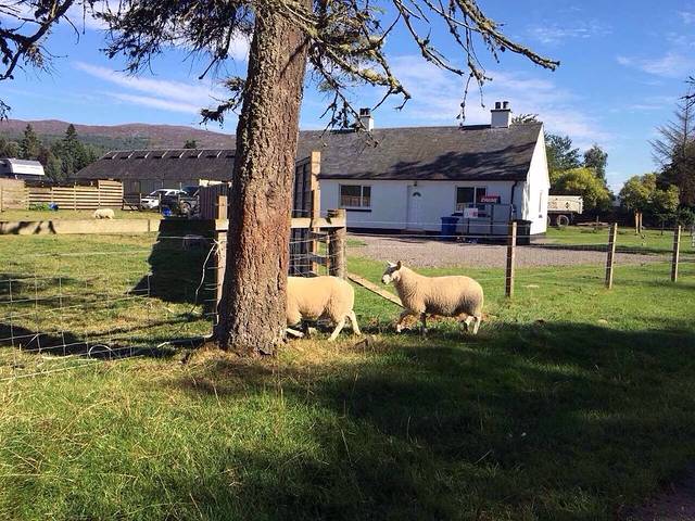 新拉纳克世界遗产村