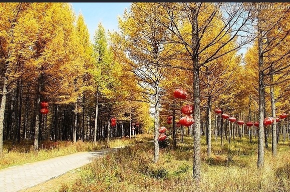 尚海纪念林