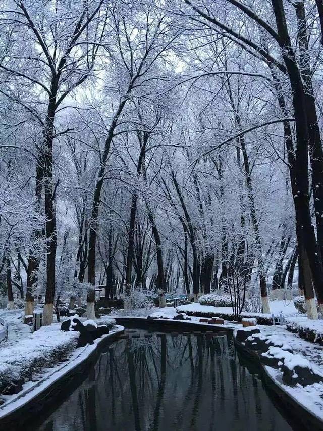 西宁湟水国家湿地公园-文化公园
