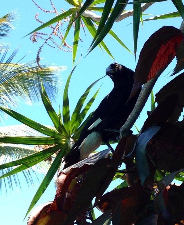 塔城红楼博物馆