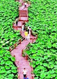 美丽乡村生态旅游区