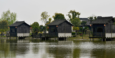 红杉邨景区