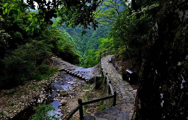 千年香榧林探险漂流