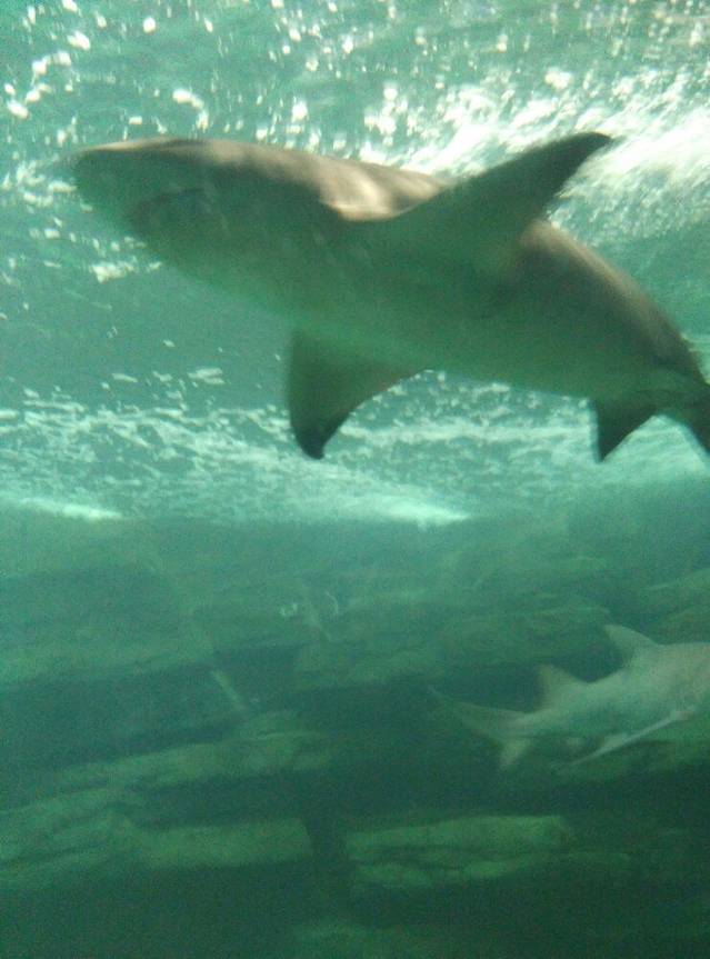 连云港海州湾海洋乐园