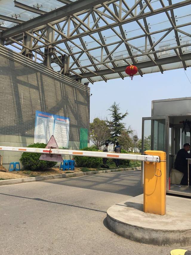 润扬湿地森林公园