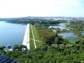 石羊石虎山古墓
