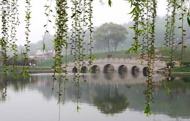 虞山国家森林公园