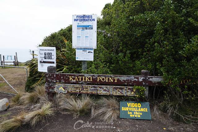 Katiki Point