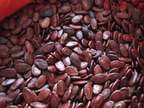 王老头炒货(玉蜓桥店)