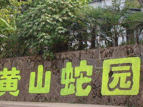 黄山蛇园(蛇类科学研究所)