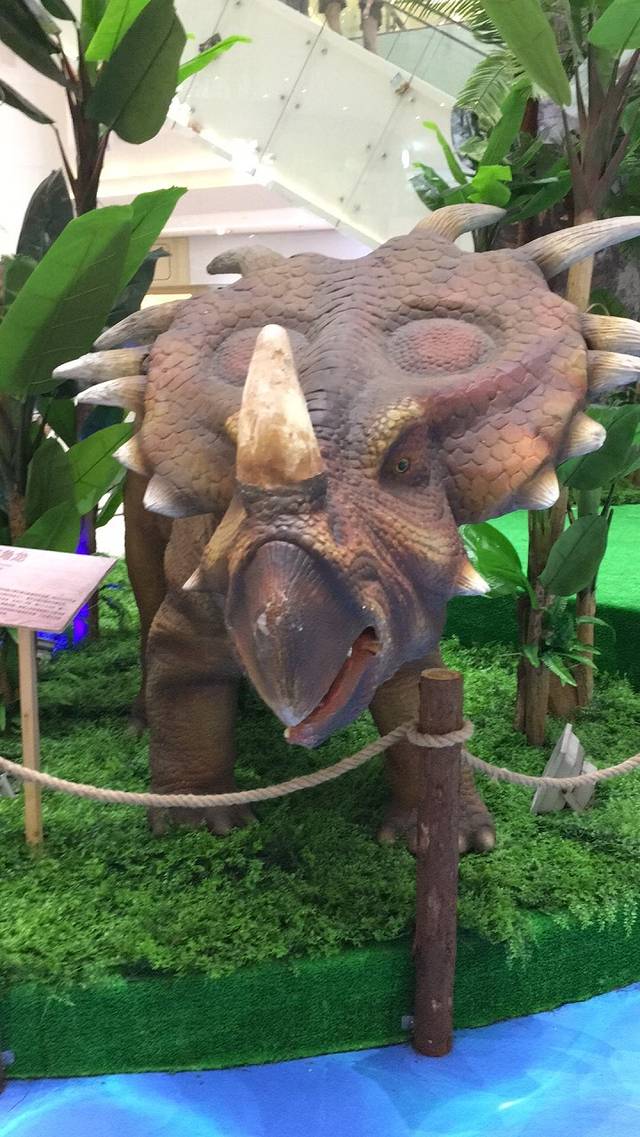 泰禾广场(石狮宝岛中路店)