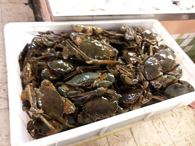 闸坡水产品交易市场