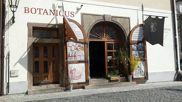 菠丹妮（Ungelt店）