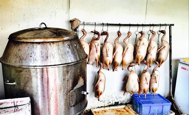 添喜农庄(沙螺湾北街店)