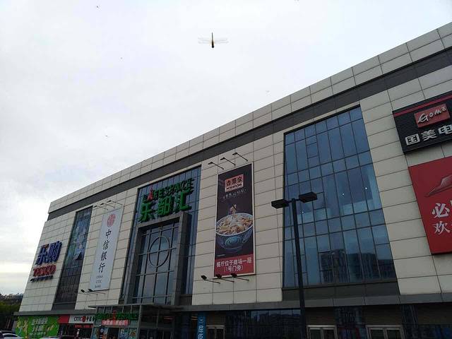 吉野家(张前路乐都汇店)