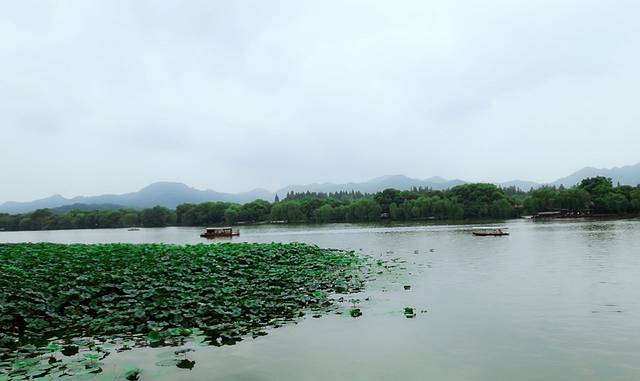 好又来烘焙(八号桥商业街店)