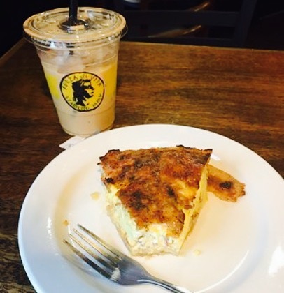 forza coffee company