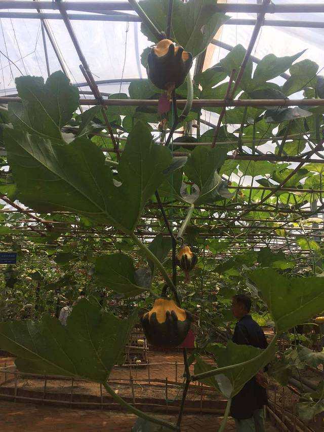 小红桶烧烤海鲜(石沟屯店)