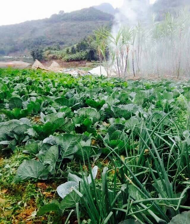 兴义市韦记红椿农家第一家