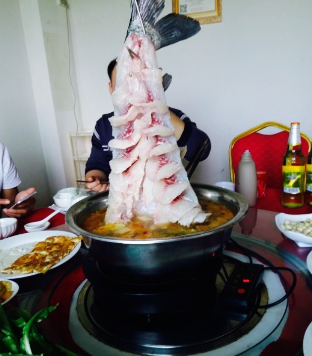 西津生态鱼生馆