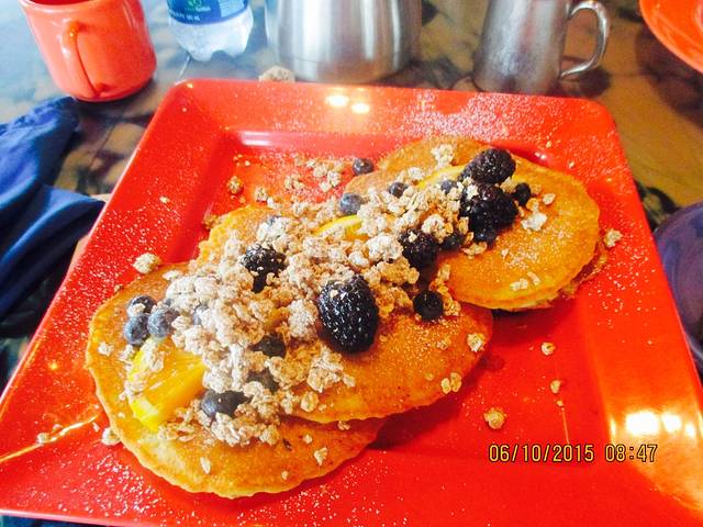 Gatorville Poolside Bar & Grill