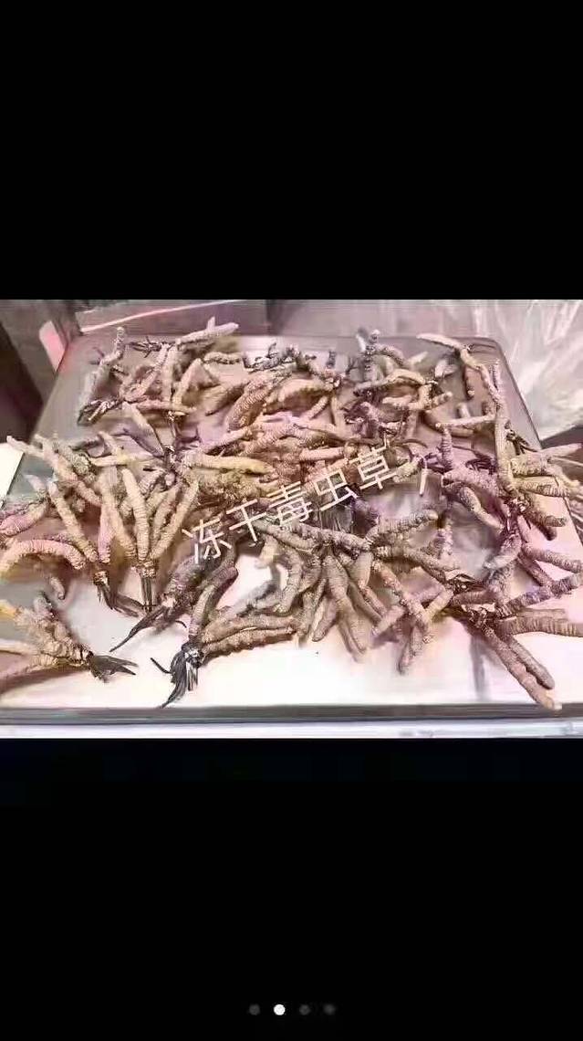 德克士(康定店)