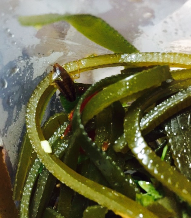 好吃嘴川菜小厨(正佳广场店)