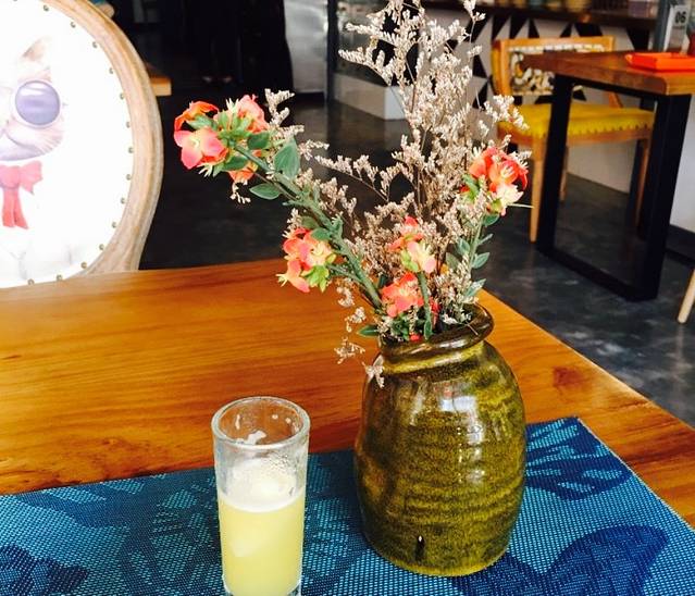 龙泉人椰子鸡(桫椤湾店)