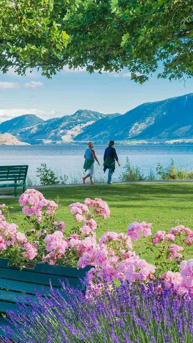 千代香(跃进路店)