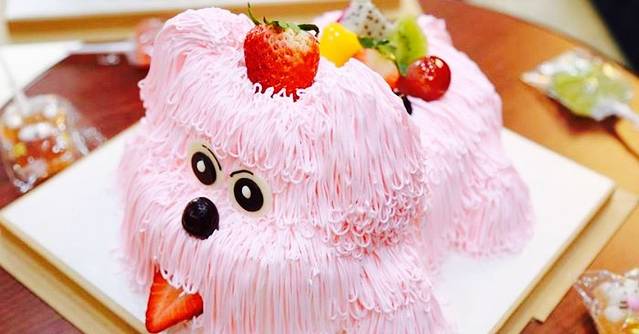 金贝儿(雪峰路口店)