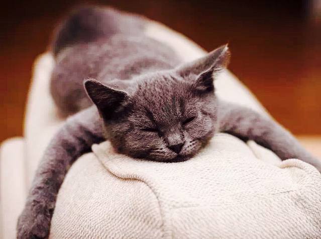 佳肴小镇(联盟路西二环店)