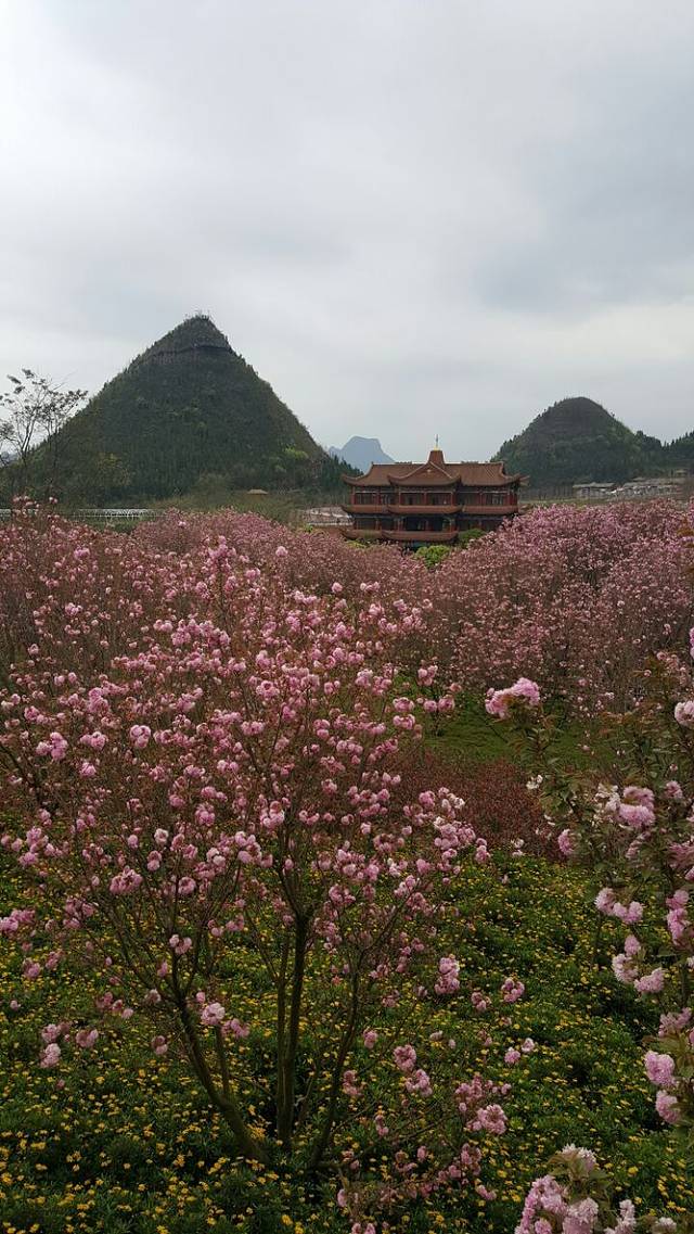 盛知味·泉水鱼长寿鱼庄