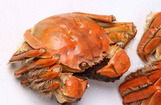 缅甸辣螃蟹(龙翔路店)