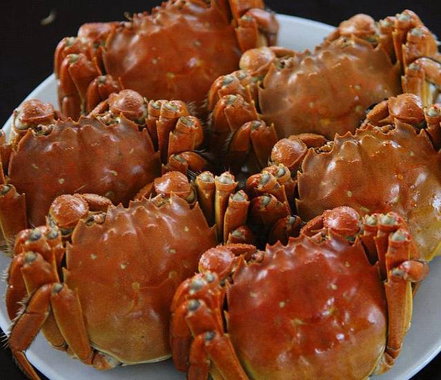 禄脿人家农家乐