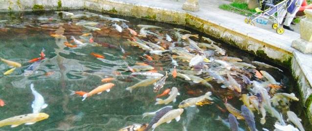 Just Quickly(吉安街店)