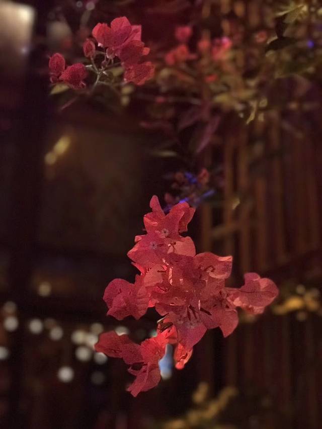 海口观澜湖度假酒店·邀月庭中餐厅